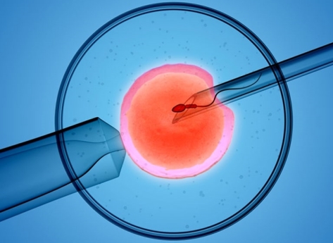 Ashoka Women & Children Hospital