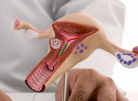 Ashoka Women & Children Hospital